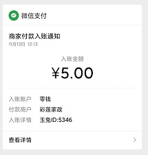 玉兔网到账
