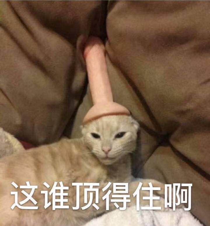 这谁顶得住啊
