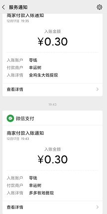 0.3元到账