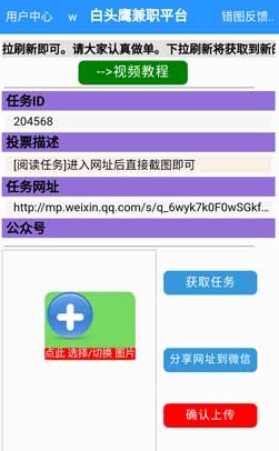 白头鹰