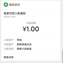想看小说到账
