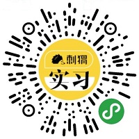 刺猬实习