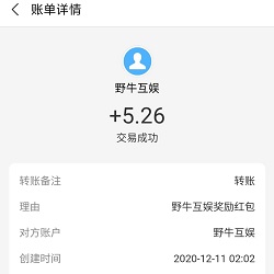 到账记录