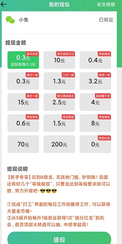 疯狂养龙