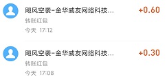 到账记录