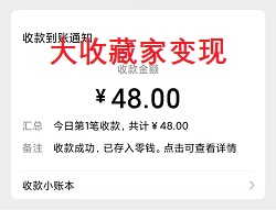 大收藏家