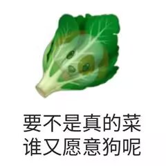 真的菜